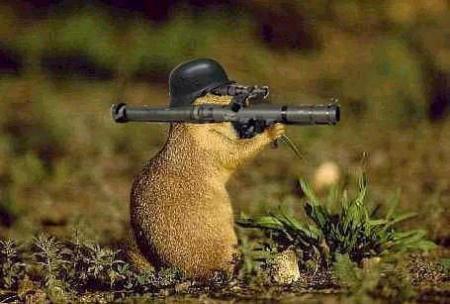 armée